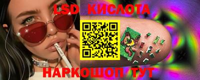крисы Пенза