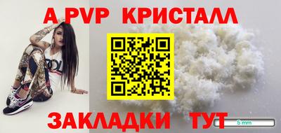 крисы Пенза