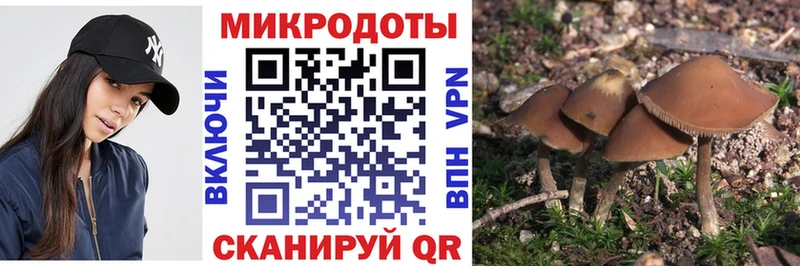 Галлюциногенные грибы прущие грибы  кракен   Рязань  купить наркотики сайты 