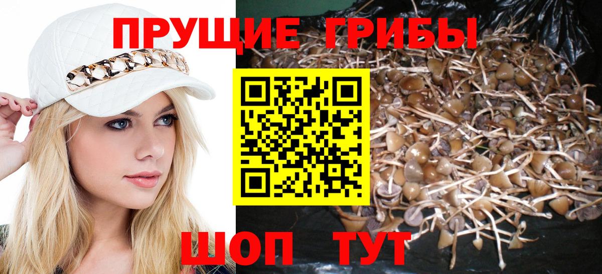 Галлюциногенные грибы мицелий Рязань