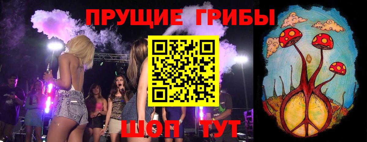 Псилоцибиновые грибы MAGIC MUSHROOMS  Вход с VPN  Рязань 